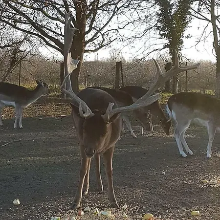 아파트 Muehlenberger Ponyhof