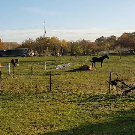 Muehlenberger Ponyhof 아파트 *