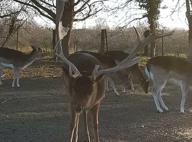 Apartamento Mühlenberger Ponyhof