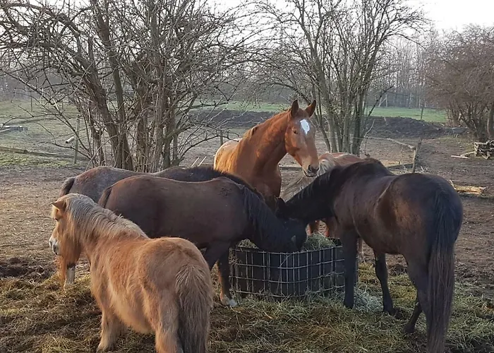 Mühlenberger Ponyhof Apartamento