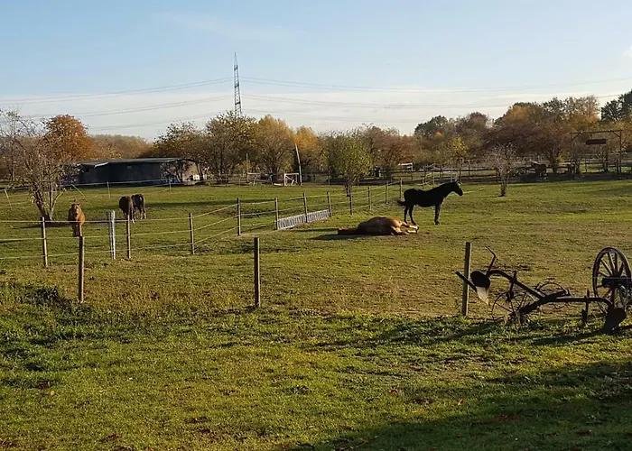 Mühlenberger Ponyhof Apartamento *